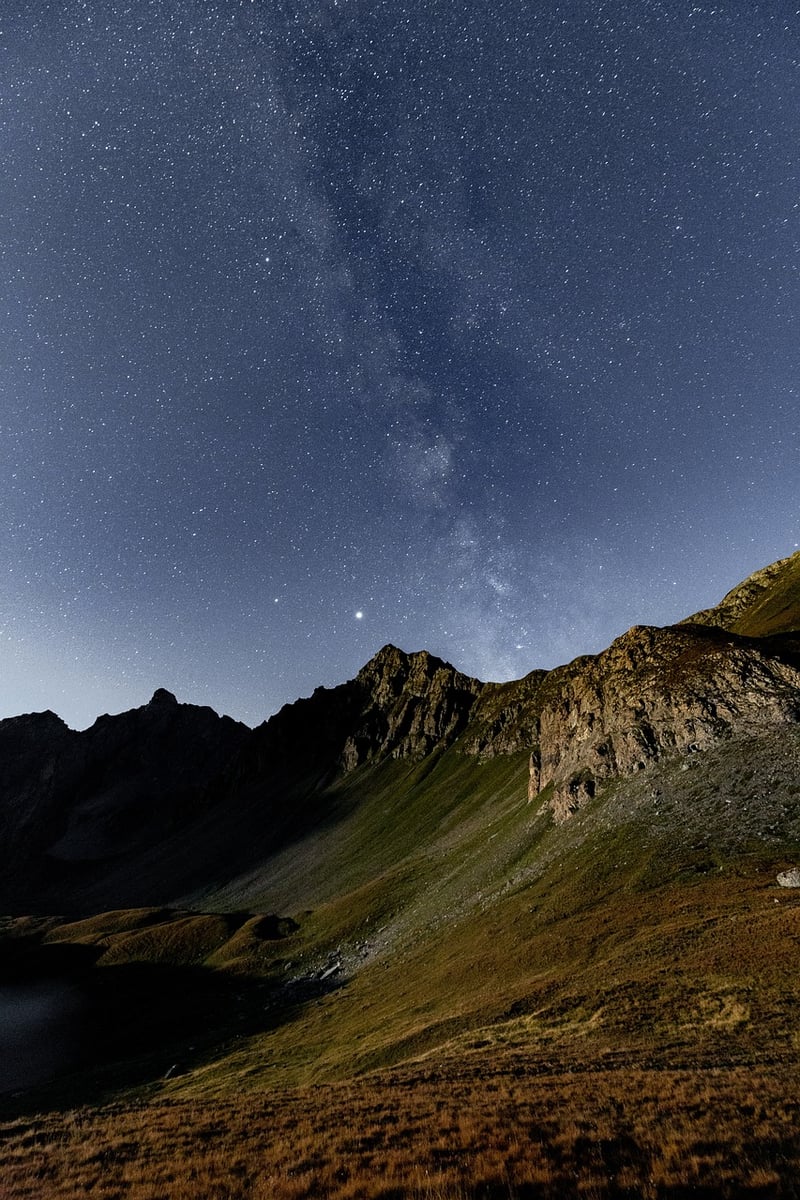 Starry Gathering